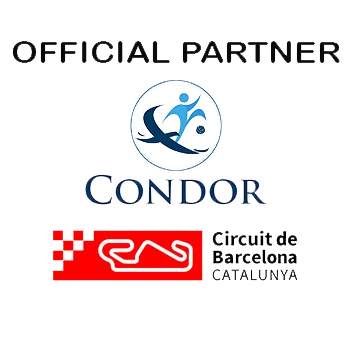 Partner 6